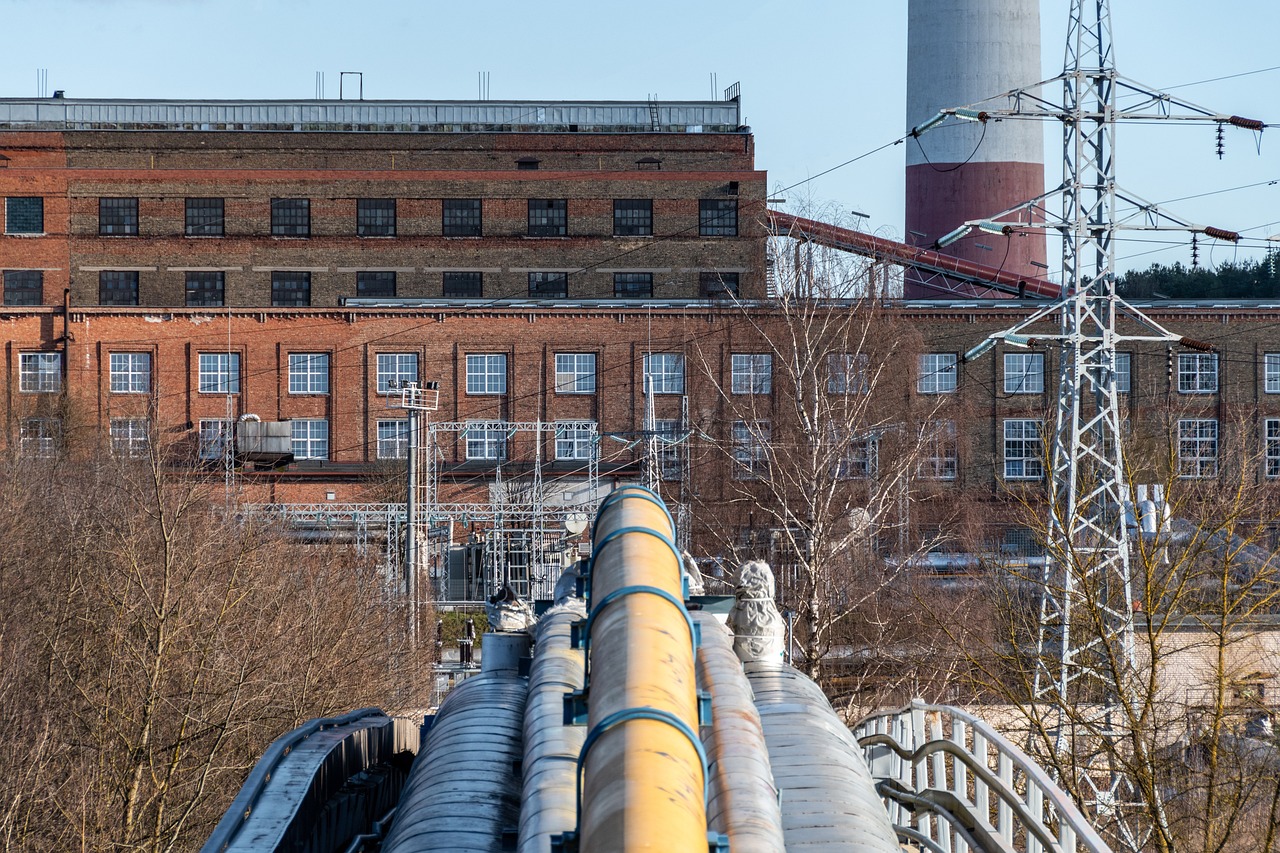 The Process of Creating Biofuel from Waste